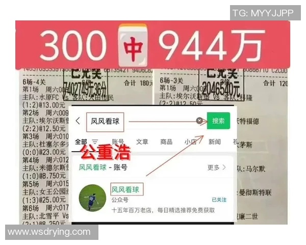 葡萄牙与匈牙利精彩对决百度云资源分享与赛后分析