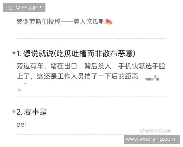 专访张秀英:深入剖析和平精英背后的成功秘诀与发展策略