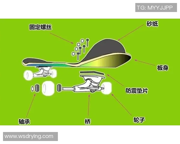 滑板新手必看:从零基础到高手的全面入门指南与技巧分享