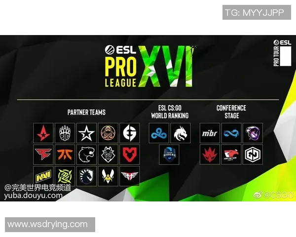 CSGO赛事热议JDG战队节奏引发玩家争论与思考