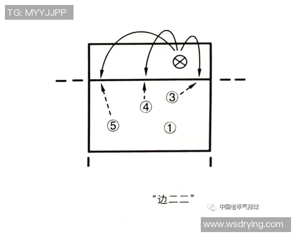 南京排球队的战术调整与成绩波动分析探讨