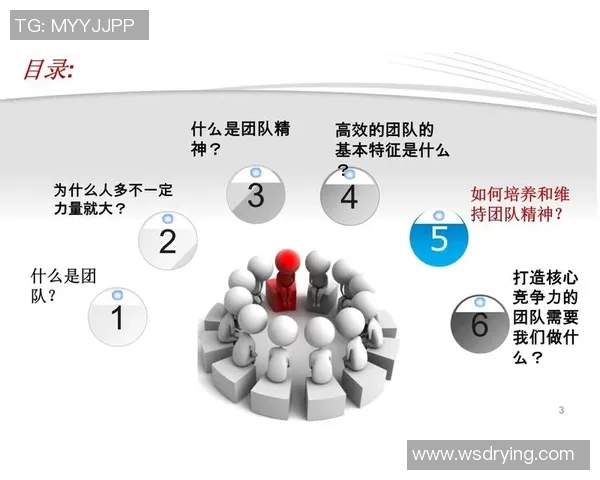 团队协作与竞技精神的完美融合探索：提升团队运动表现的关键策略与实践分析