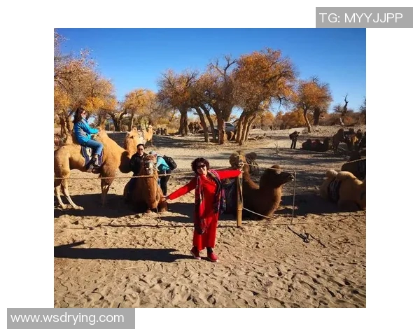 与杨秀英畅谈街舞人生与梦想的追逐与坚持