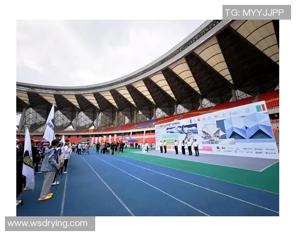 赛后分析：西安飞盘队与武汉飞盘队的战术意识与团队配合探讨