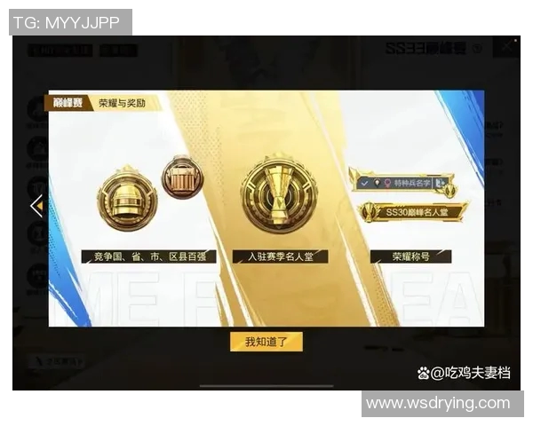 和平精英巨献：深入解析RNG战队的心理素质与竞技表现