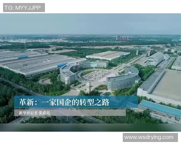 南京排球队进攻革新之路探索与展望分析